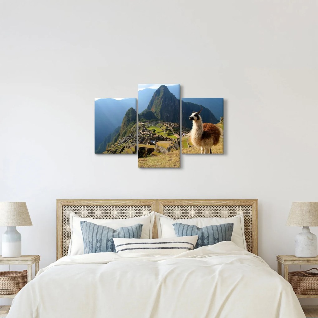 Tablou - Lama și Machu Picchu (90x60 cm)