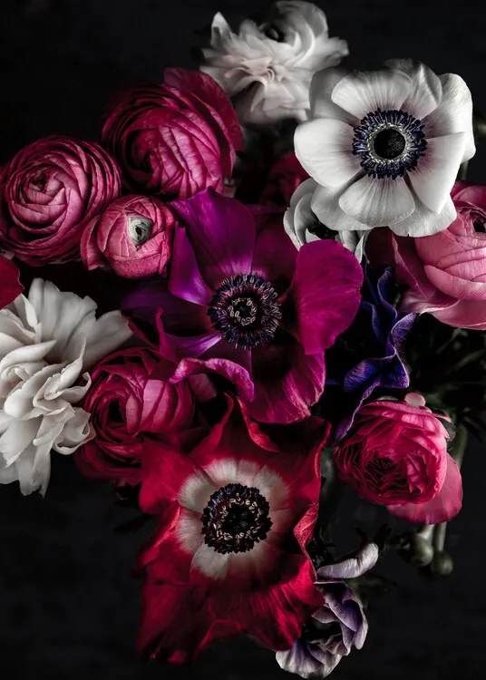 Fotografie Dark Flowers 1, Mareike Bohmer