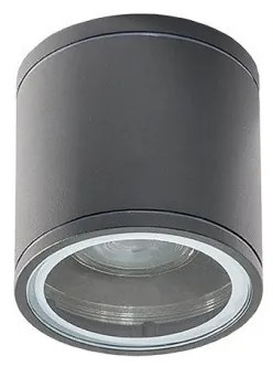Spot aplicat iluminat exterior IP54 JOE TUBE gri inchis ZZ AZ3313