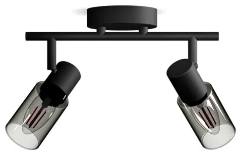 Spot Philips PALMS 2xE14/25W/230V