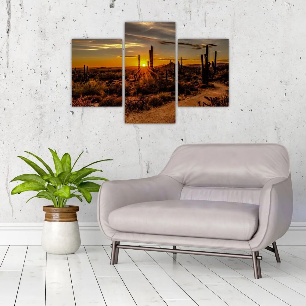 Tablou - Sfărșit de zi în deșertul Arizona (90x60 cm)