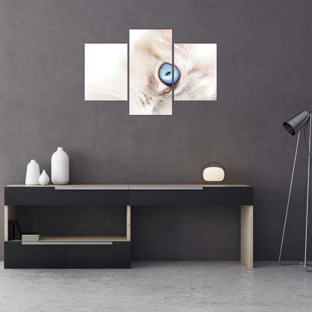 Tablou - Pisicuță (90x60 cm)