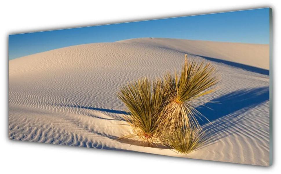 Tablou pe sticla Desert Peisaj Brun Verde