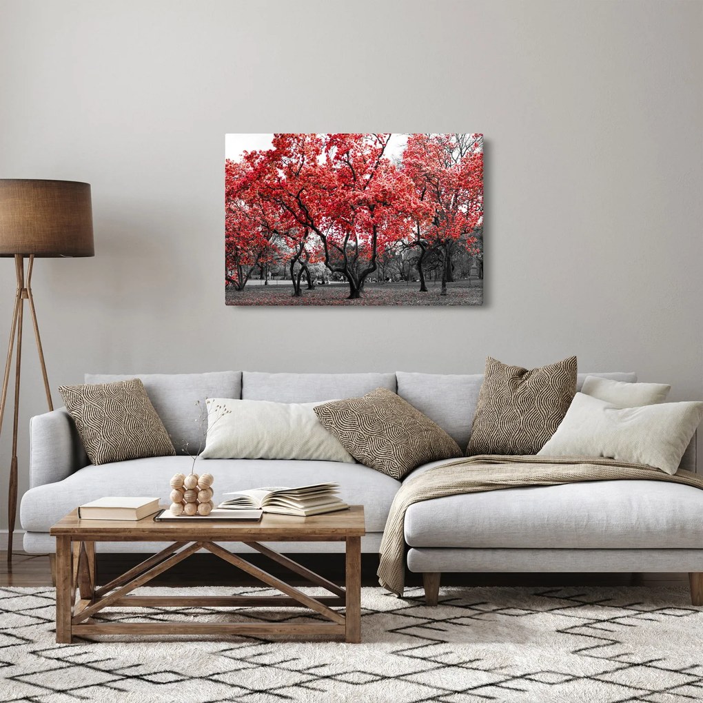 Tablou - Copacii roșii, Central Park, New York (90x60 cm)