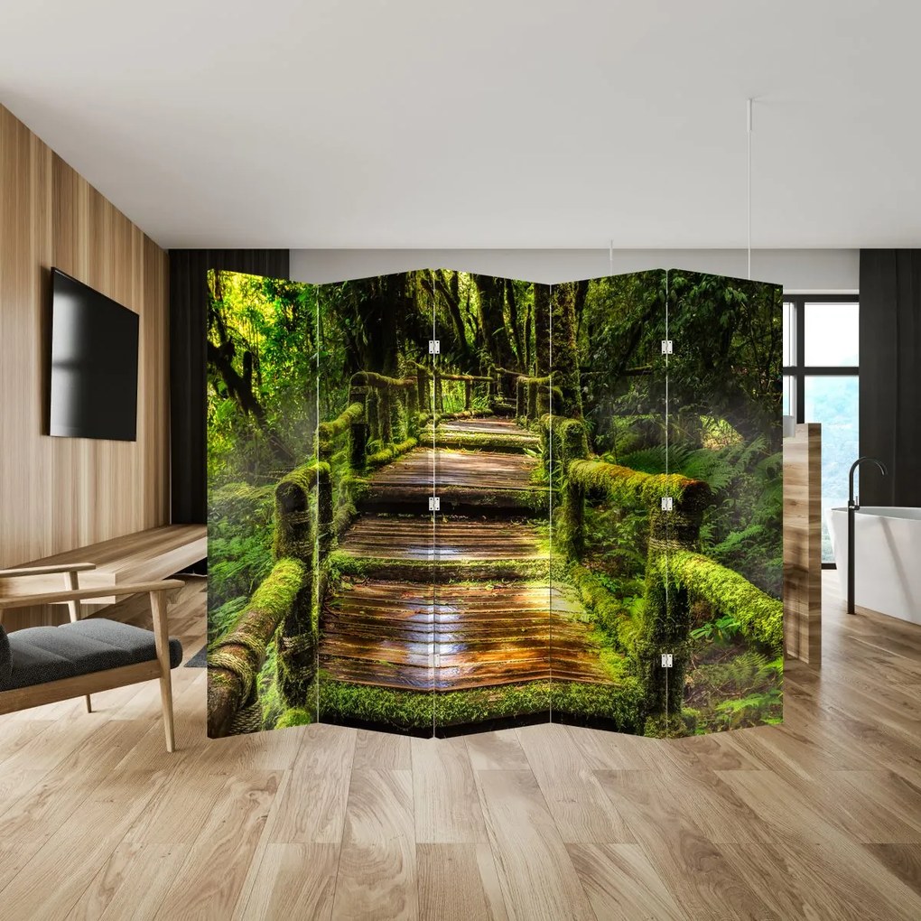 Paravan - Scări într-o pădure tropicală (210x170 cm)