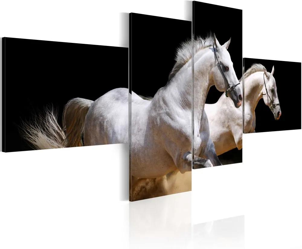Tablou Bimago - Animal World- White Horses Galloping 200x90