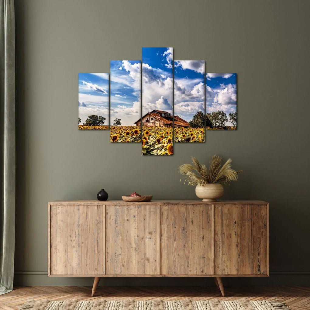 Tablou cu câmp de floarea soarelui (150x105 cm)