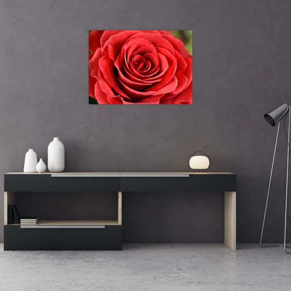 Tablou - Flori de trandafir (70x50 cm)