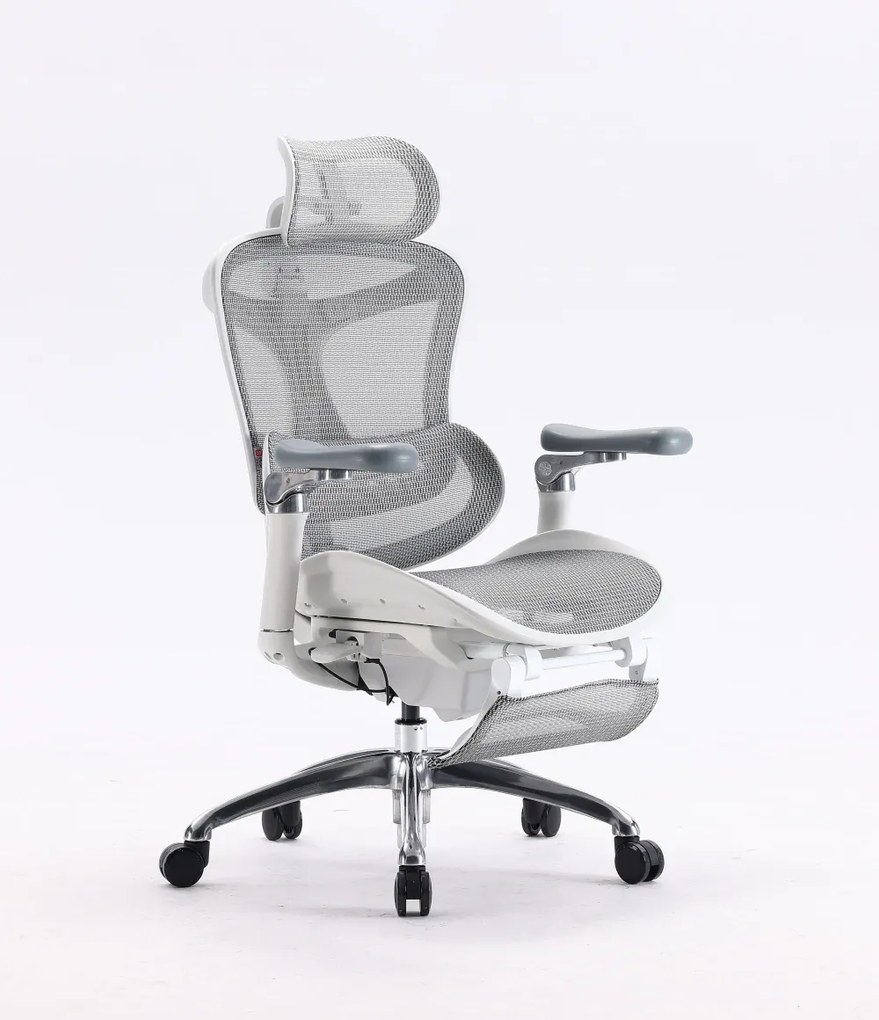Scaun Ergonomic SIHOO C300, Suport Lombar Inteligent, Tetieră 3D, Cotiere 5D, Șezut Glisant, Spătar Reglabil pe Înălțime, Suport pentru Picioare, Mesh, Gri