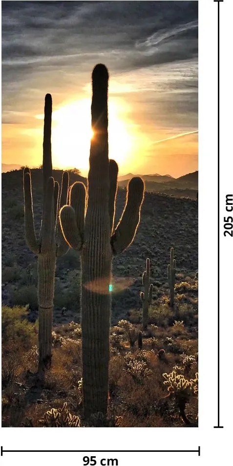 Fototapet pentru ușă - Cactuși la soare (95x205cm)