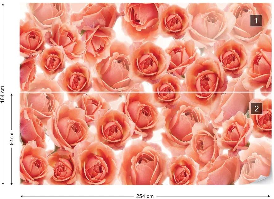 GLIX Fototapet - Pink Roses Flowers Vliesová tapeta  - 254x184 cm