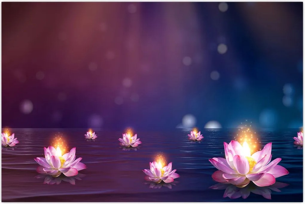 Tablou - Nuferi magici (90x60 cm)