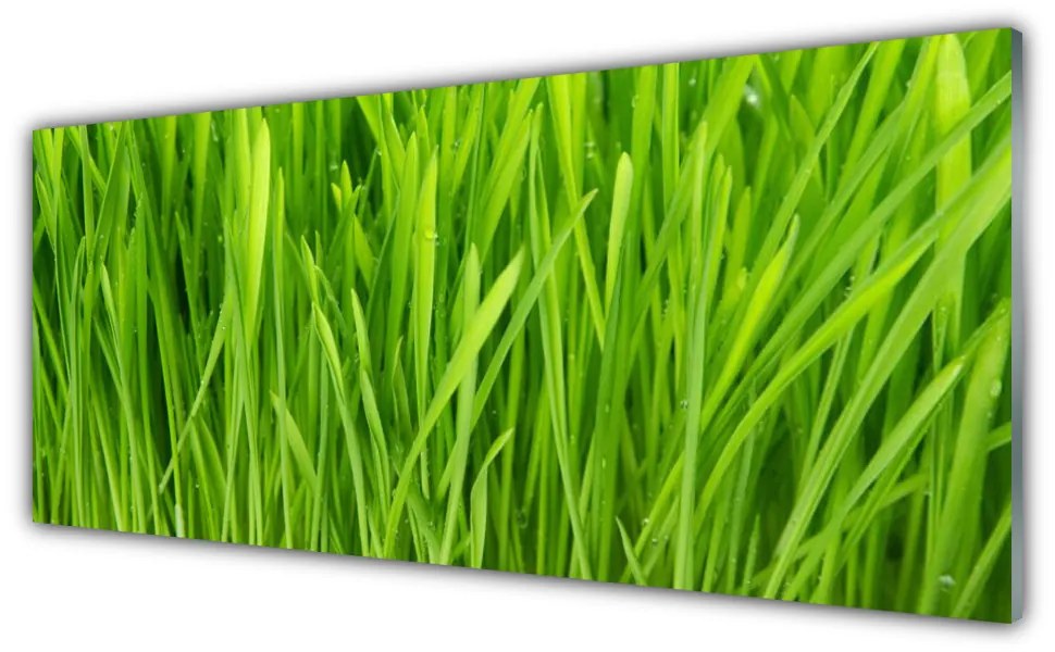 Tablouri acrilice Weed Floral Verde
