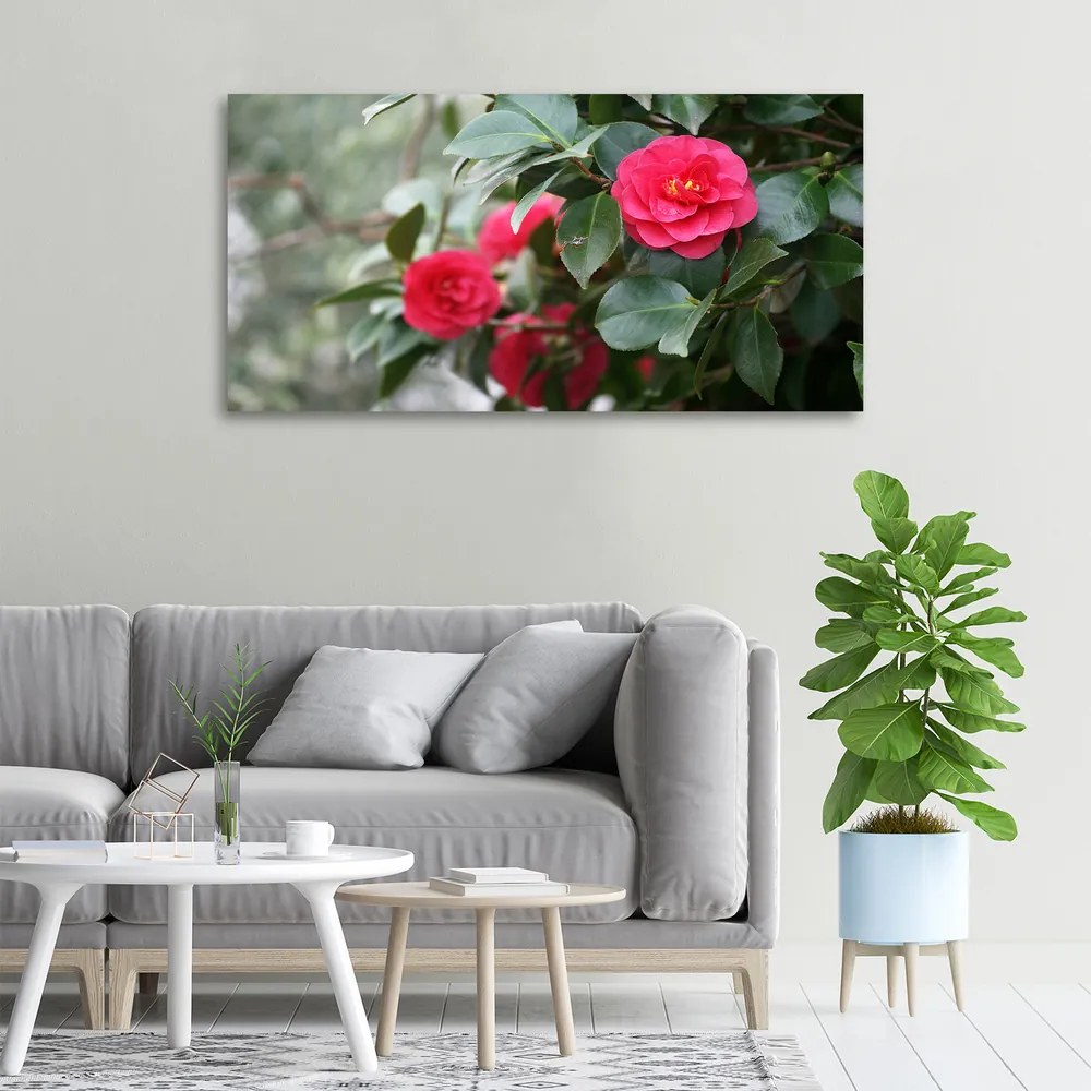 Pictură pe pânză Camelia