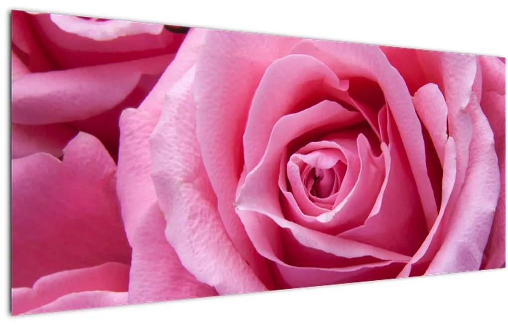 Tablou cu trandafir (120x50 cm)