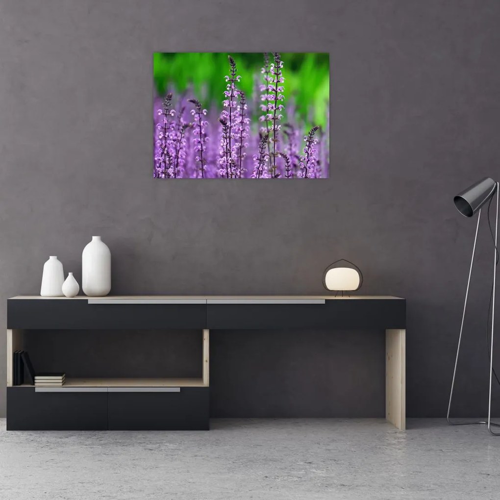 Tablou pe sticlă cu flori de luncă violete (70x50 cm)