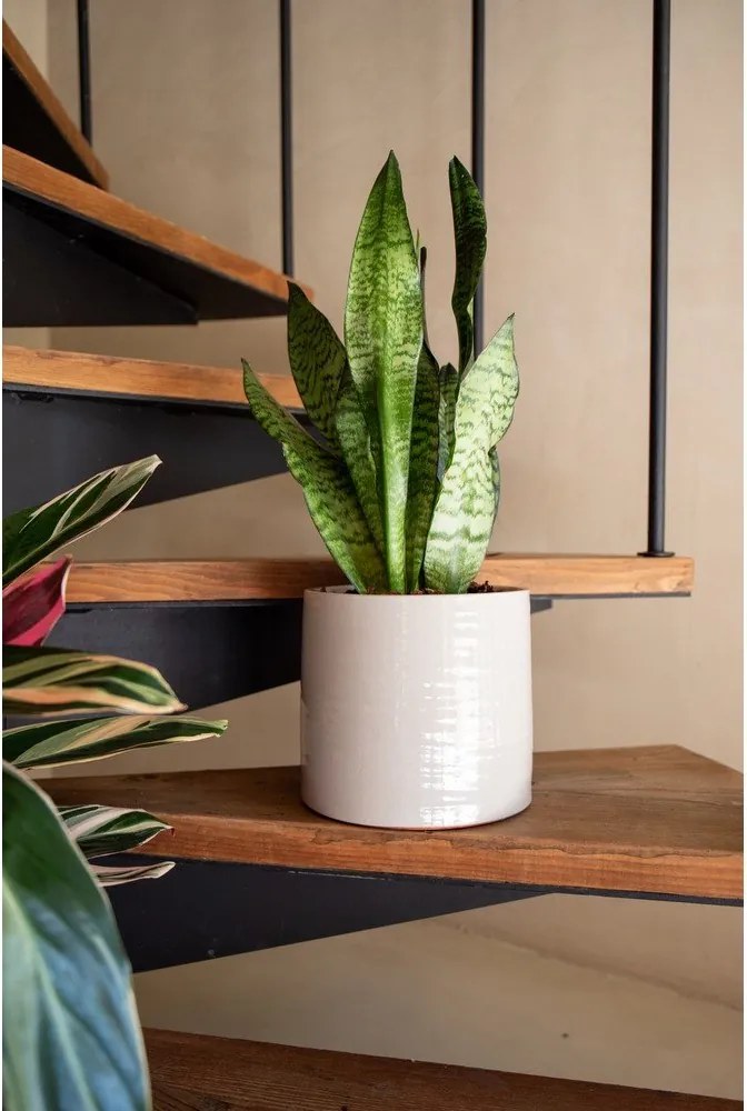 Ghiveci decorativ din ceramică handmade ø 25 cm Fortuna – Artevasi