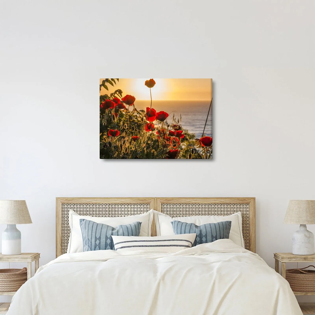 Tablou cu apus de soare cu flori de maci (70x50 cm)