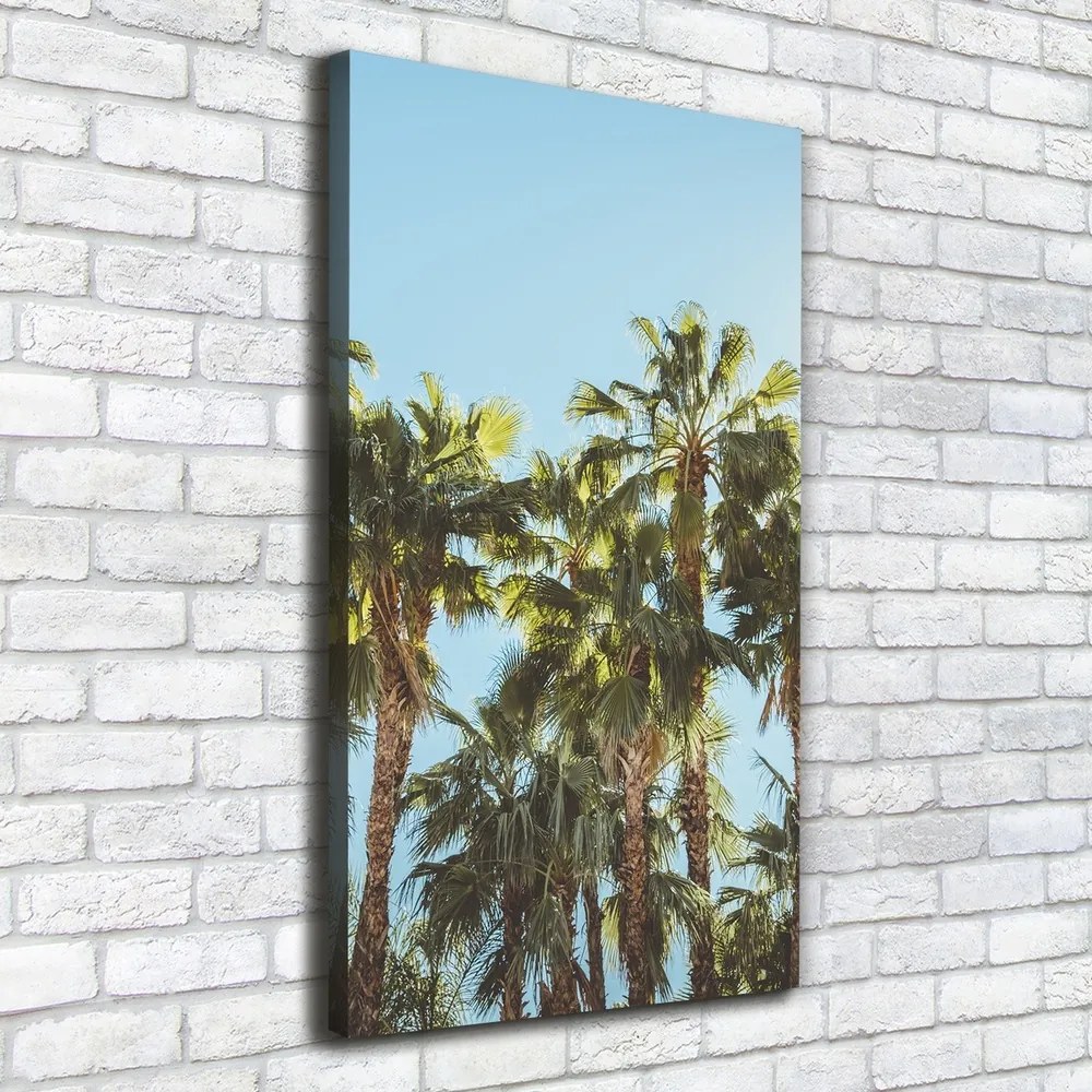 Imprimare tablou canvas Palmieri