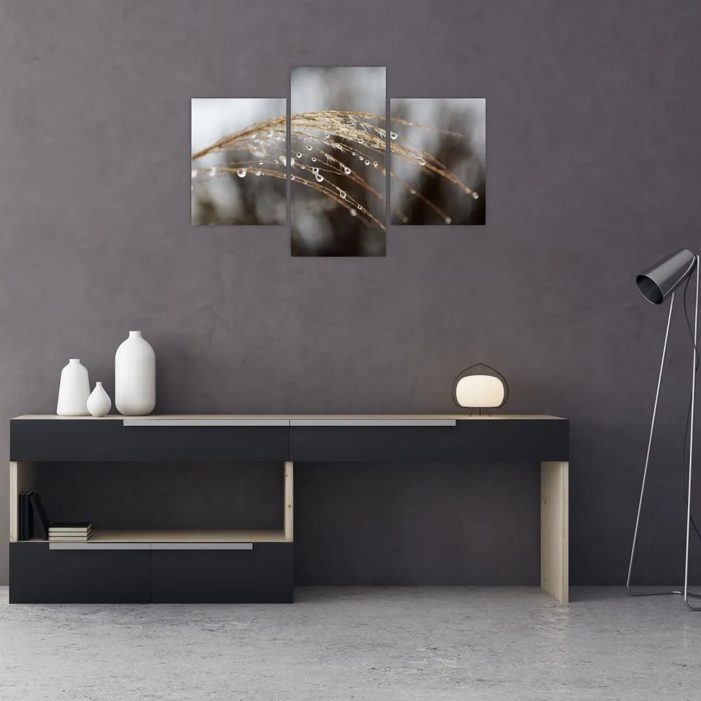 Tablou - Picături pe plantă (90x60 cm)