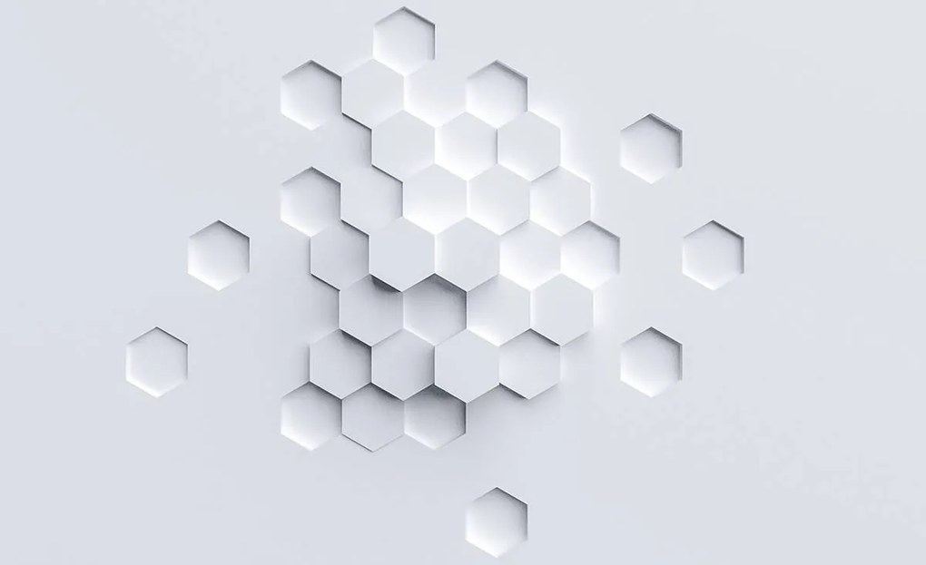 Fototapet - Hexagon (254x184 cm)