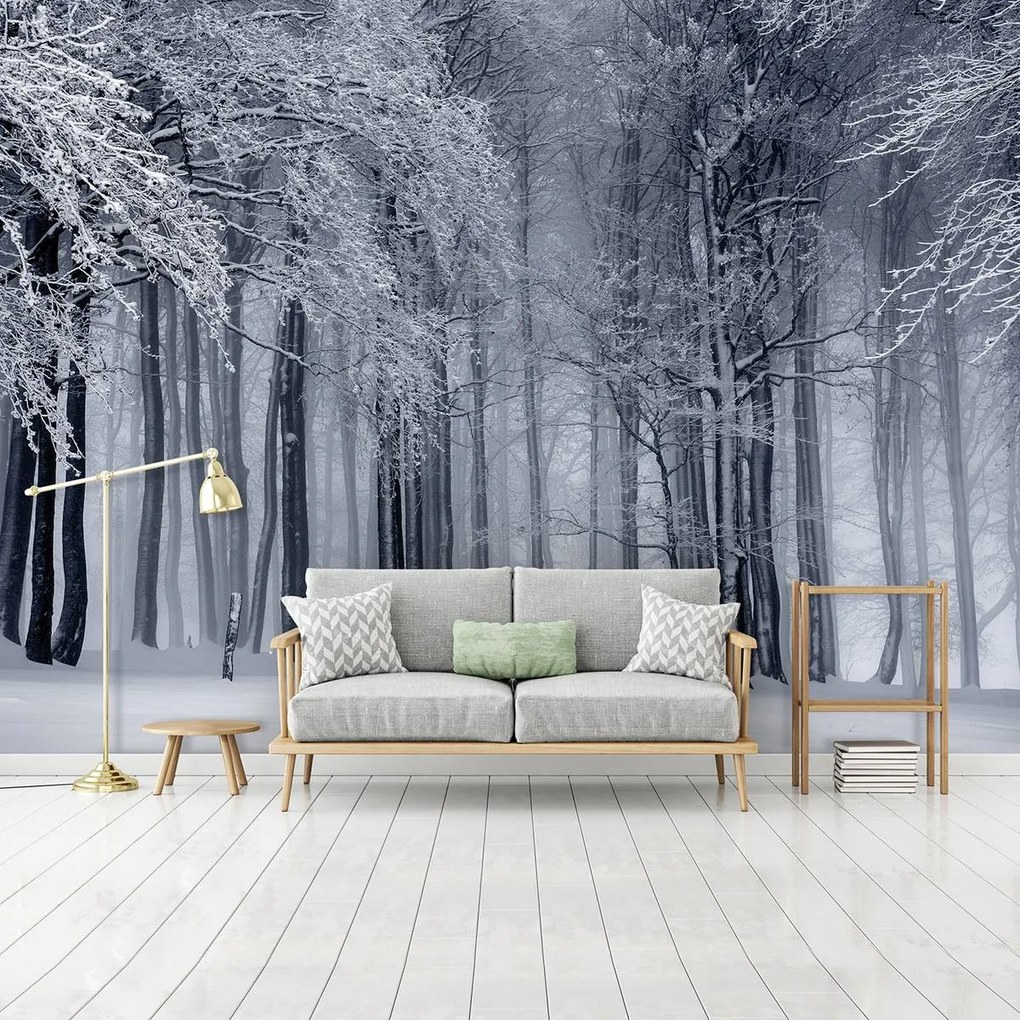 Fototapet - Iarna (152,5x104 cm)