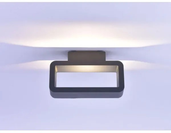 Aplică LED de exterior HENDRIK LED/5,2W/230V IP54 Paul Neuhaus 9668-13