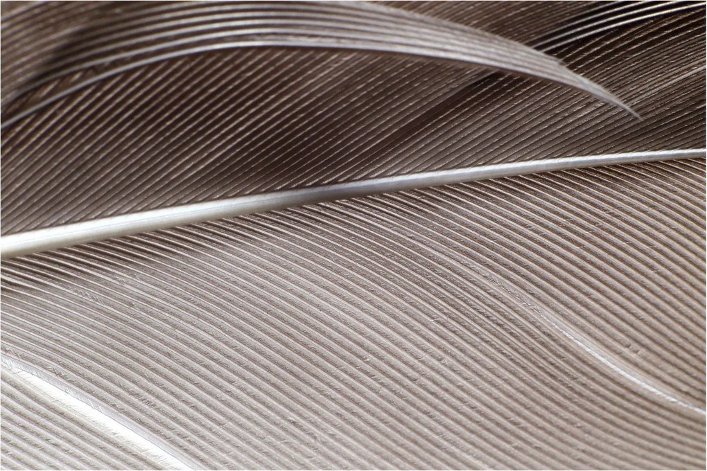 Tablou cu fibre abstacte (90x60 cm)