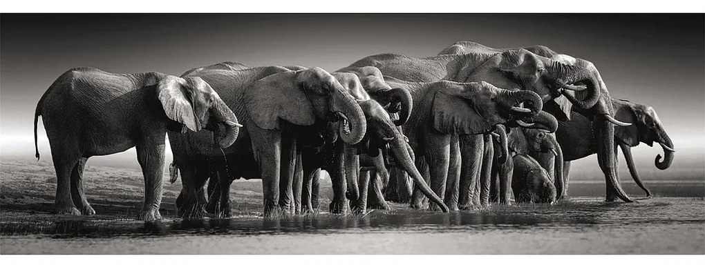 Animale Herd of Giants Puzzle compact panoramic cu elefant de 1000 de piese Clementoni