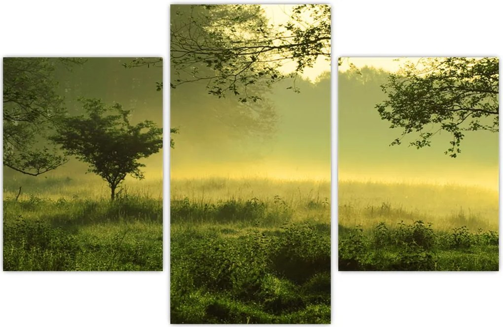 Tablou - Pădurea trezită (90x60 cm)