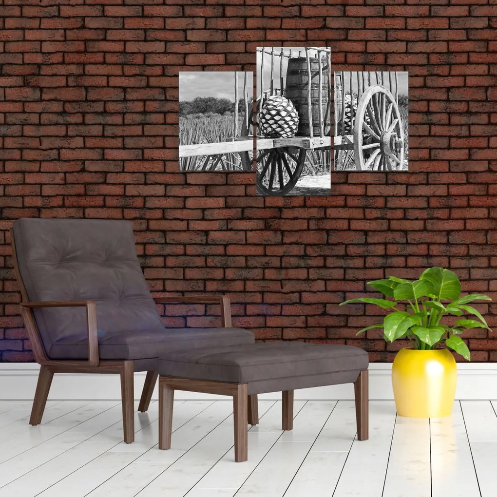 Tablou - Remorcă,alb-negru (90x60 cm)