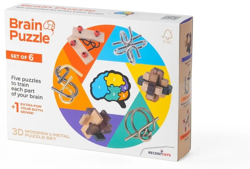 Puzzle Brain Puzzle – RecentToys