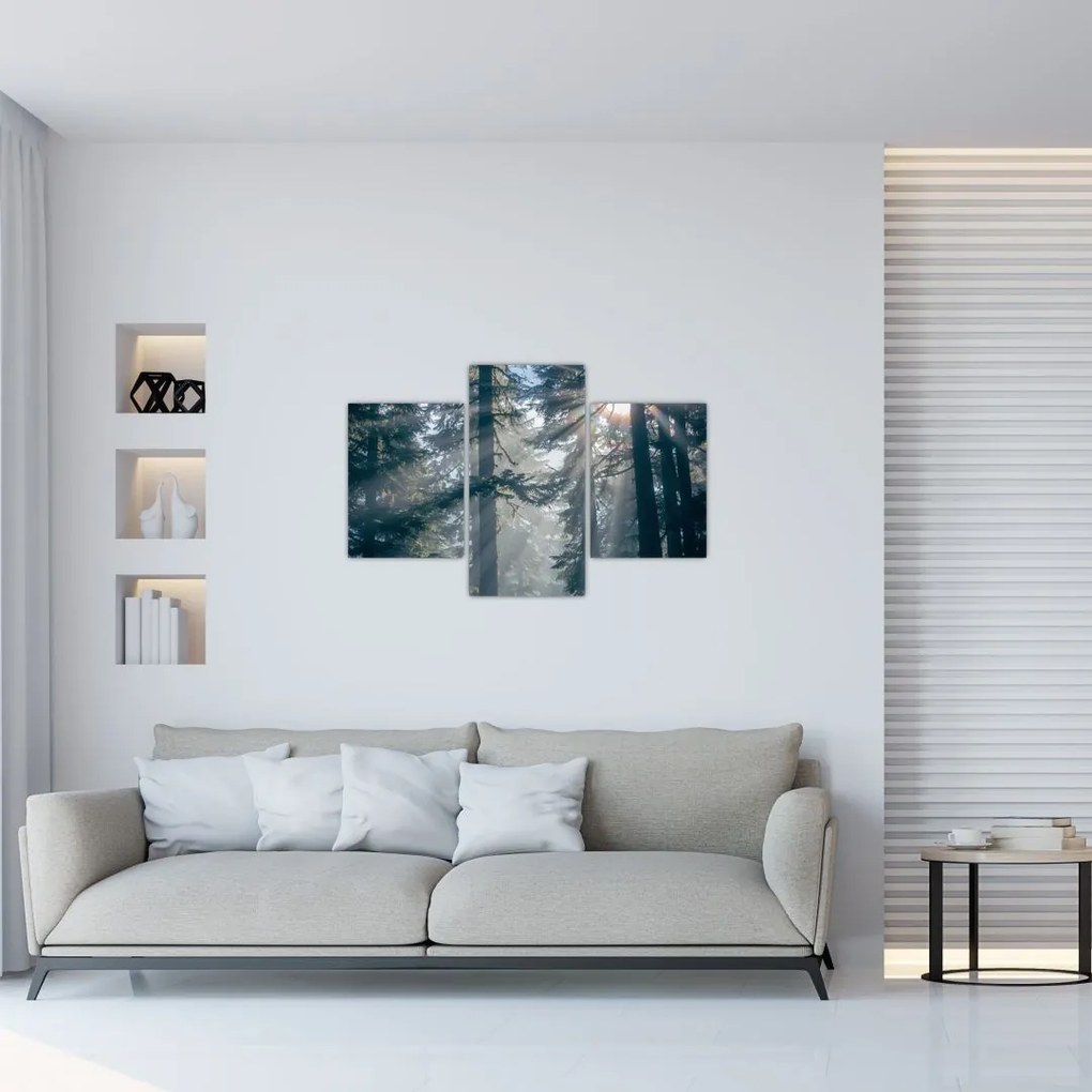 Tablou cu copaci și soarele translucind (90x60 cm)