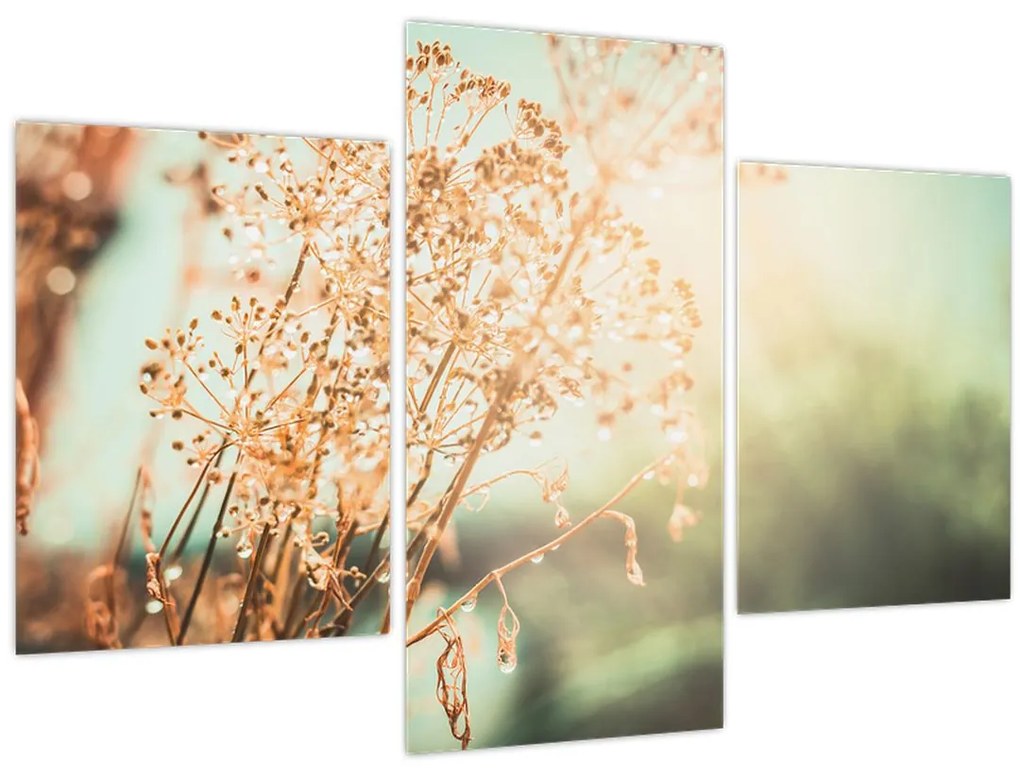 Tablou - Plante de luncă (90x60 cm)