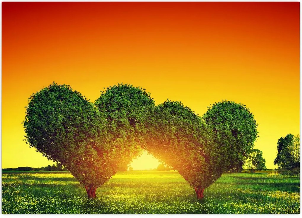 Tablou - Inima în coroanele copacilor (70x50 cm)