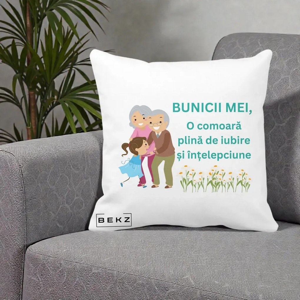 Cadou pentru Bunici - Perna Personalizata Bunicii Mei Comoara Iubire Intelepciune Nepoata, 40x40 cm, Alba Mata, Husa Detasabila, Perna Inclusa, BEKZ®