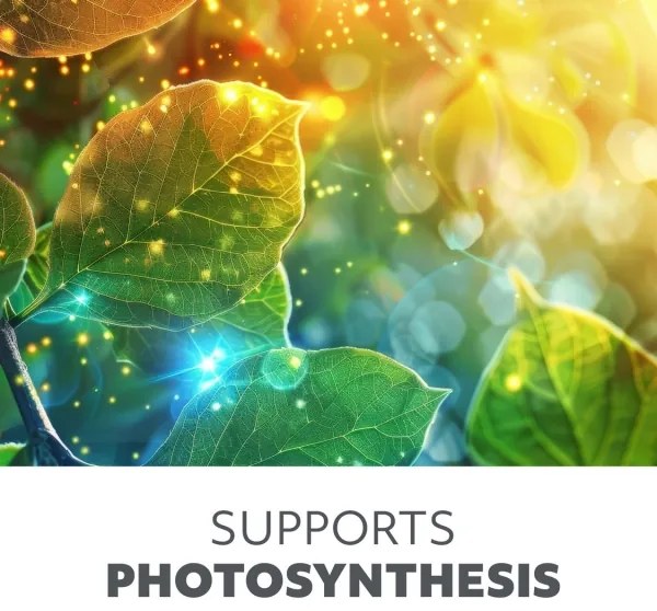 Lampadar LED dimabil pentru creșterea plantelor Brilagi VITABLOOM 4xLED/7,5W/230V