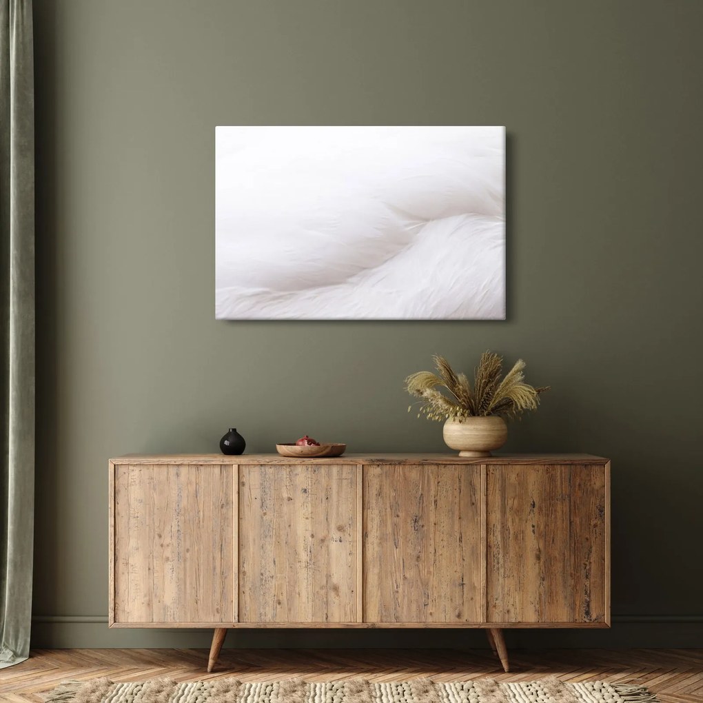 Tablou - Detalii pene (90x60 cm)