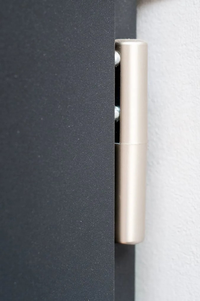 Usa Metalica de intrare in casa Turenwerke DS92 cu luminator lateral Stejar Auriu, 1420 X 2120, DS92-01