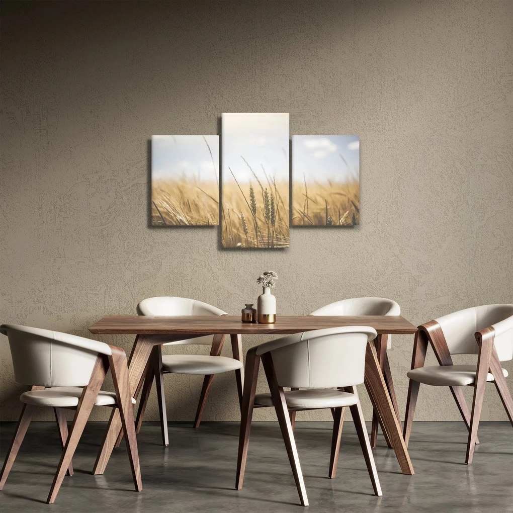 Tablou cu grâne (90x60 cm)