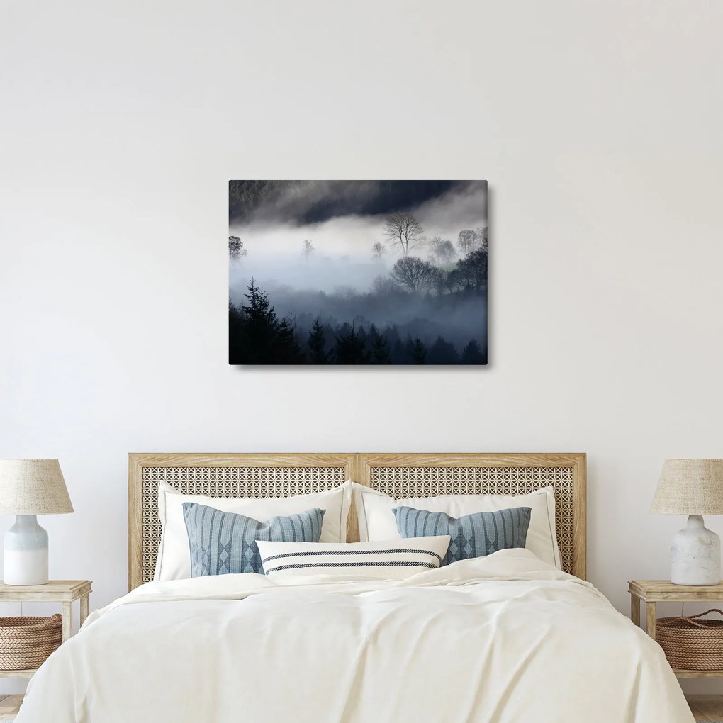 Tablou cu ceță deasupra pădurii (70x50 cm)