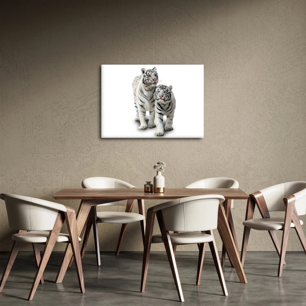 Tablou - Tigrul alb (70x50 cm)