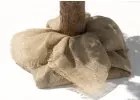 Brad de Crăciun pe trunchi natural Molid PE 180 cm Royal