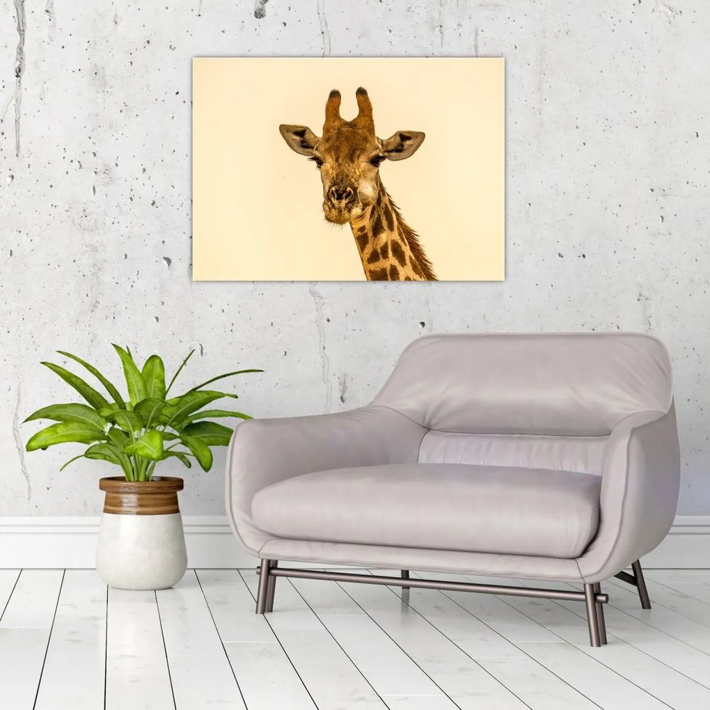 Tablou pe sticlă cu girafe (70x50 cm)