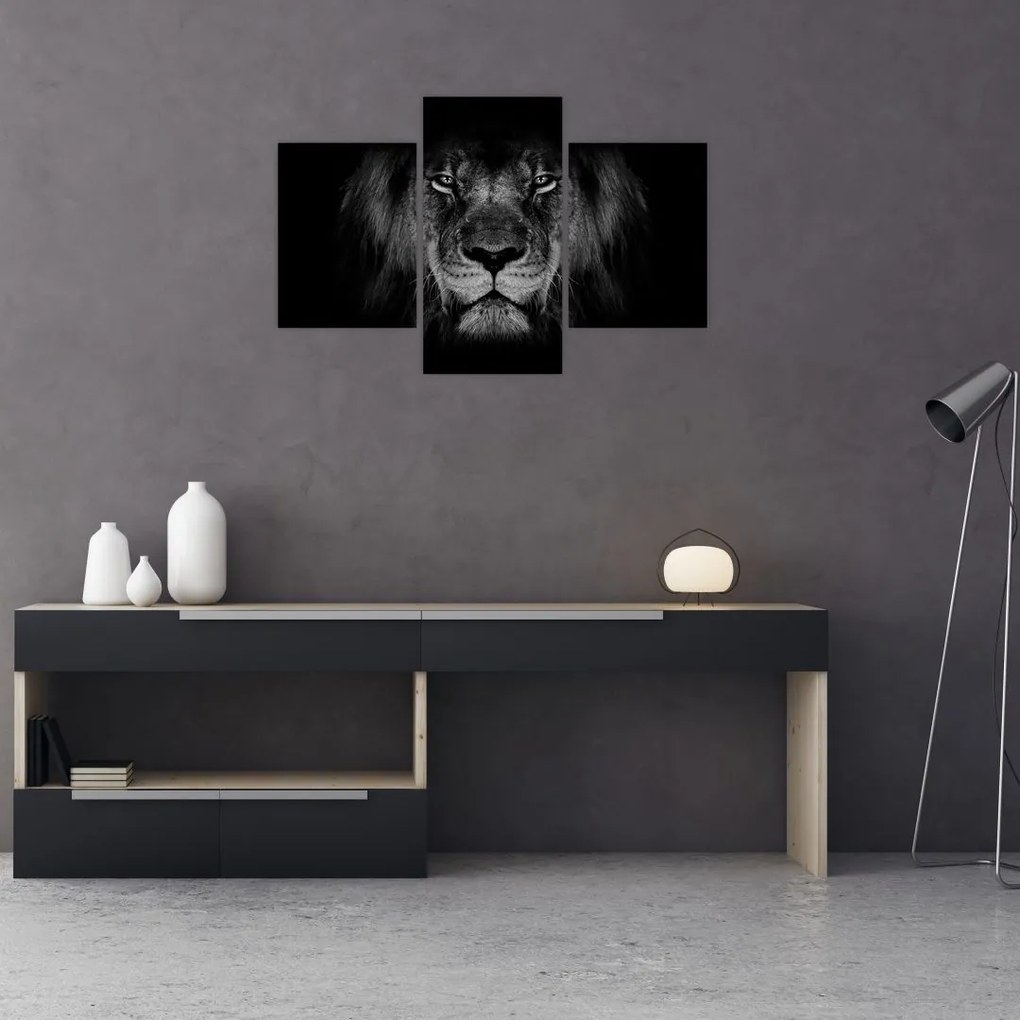 Tablou - Leu majestic (90x60 cm)