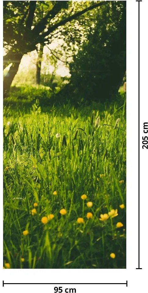 Fototapet pentru ușă - Luncă (95x205cm)
