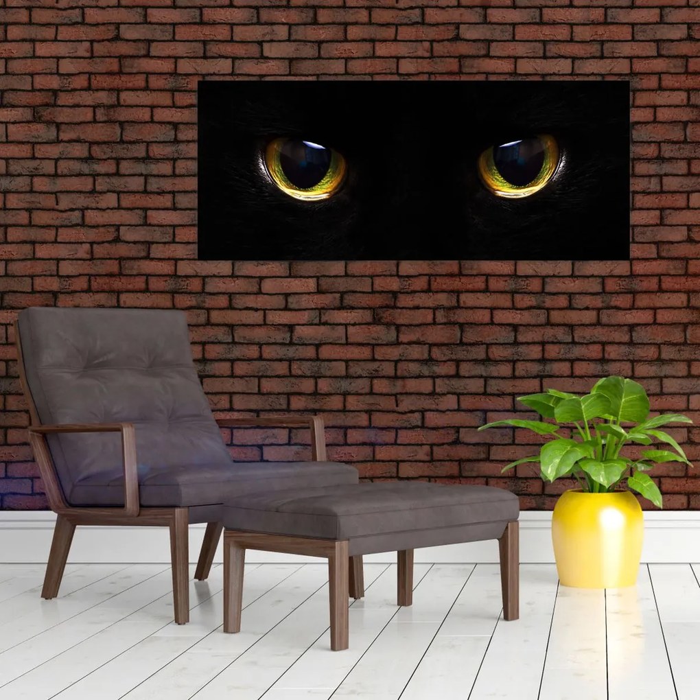 Tablou - Ochi de pisică (120x50 cm)