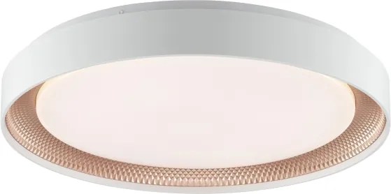 Brilliant - Plafonieră LED dimabilă WALDO LED/36W/230V alb/aur roz + telecomandă