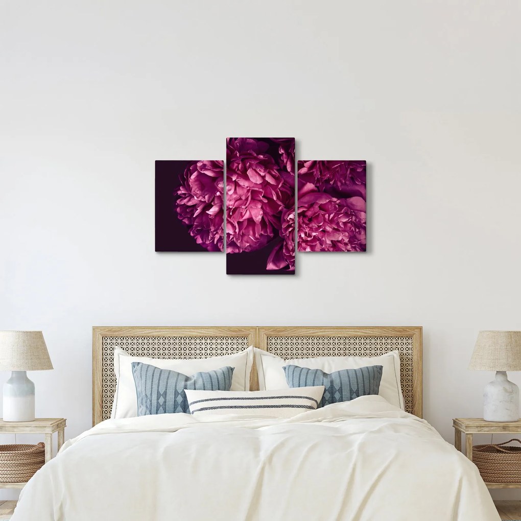 Tablou - Floarea bujorului (90x60 cm)