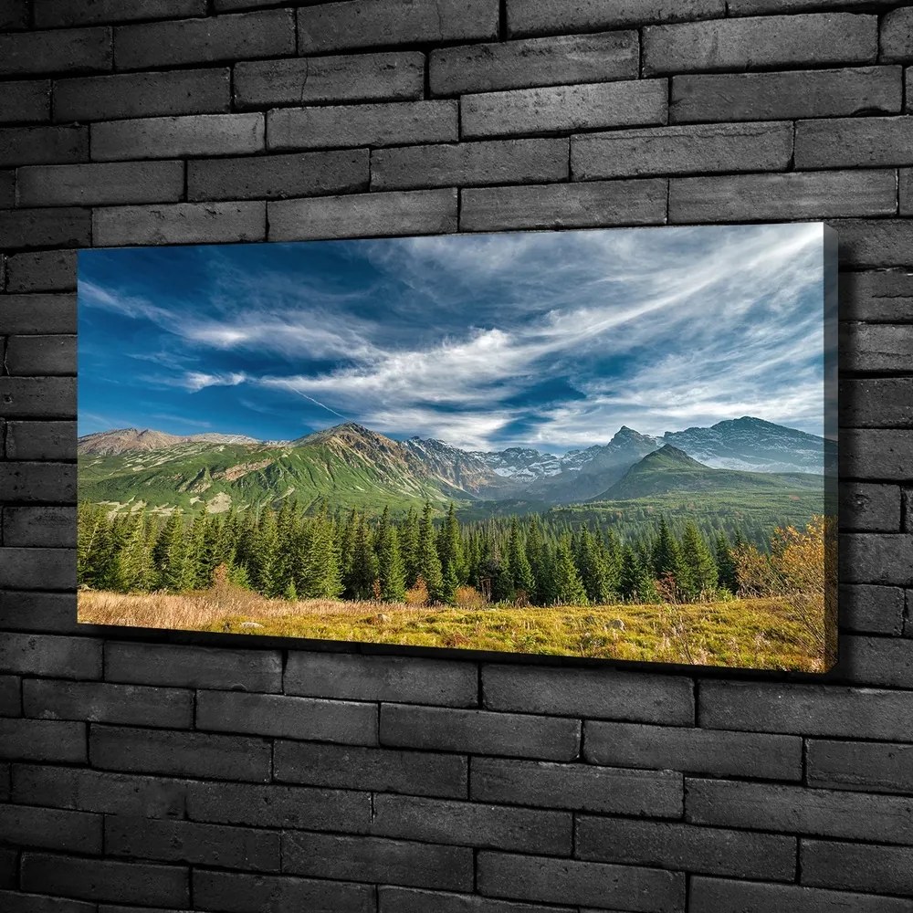 Imprimare tablou canvas Toamna în munții tatra
